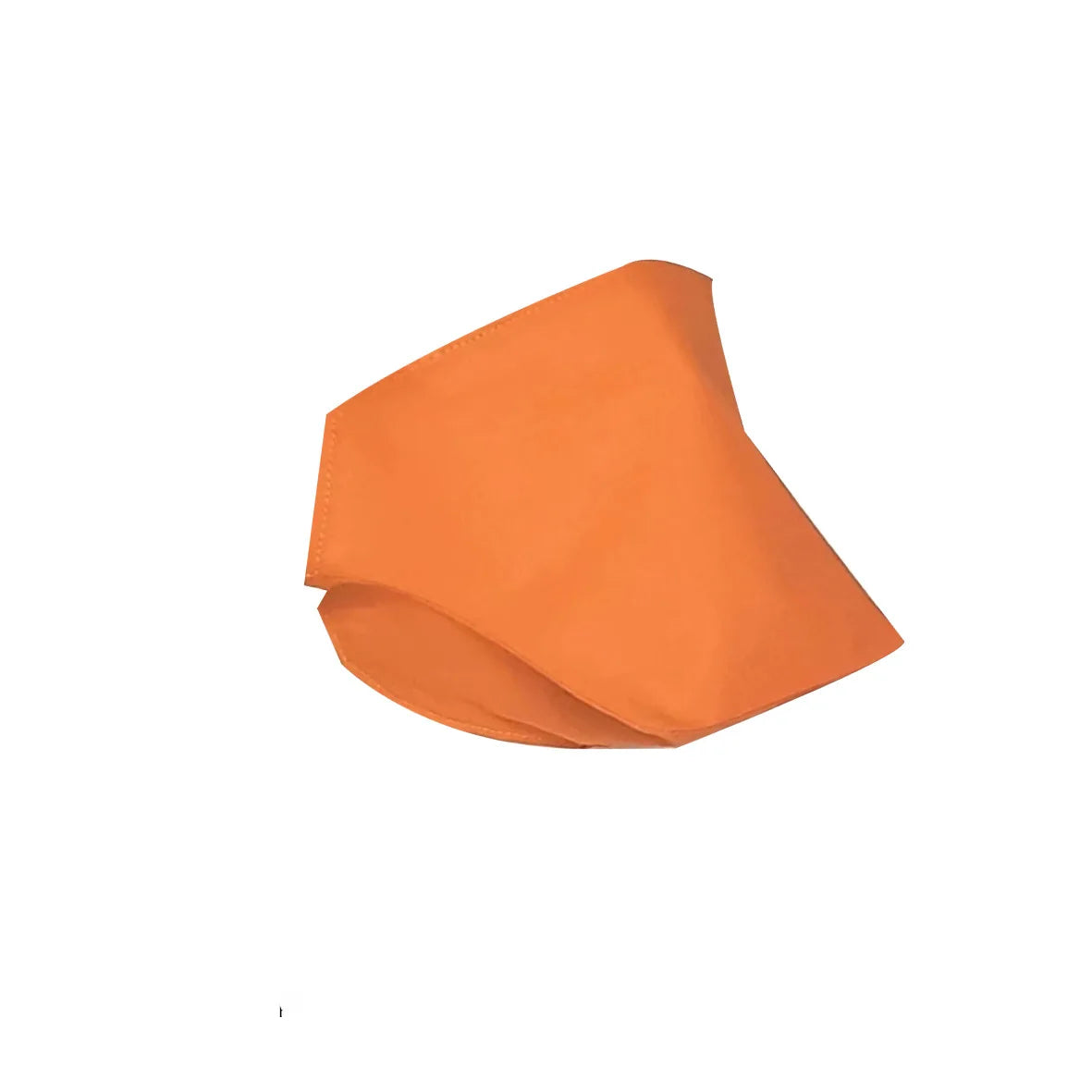 Ducky Paparazzi Mask